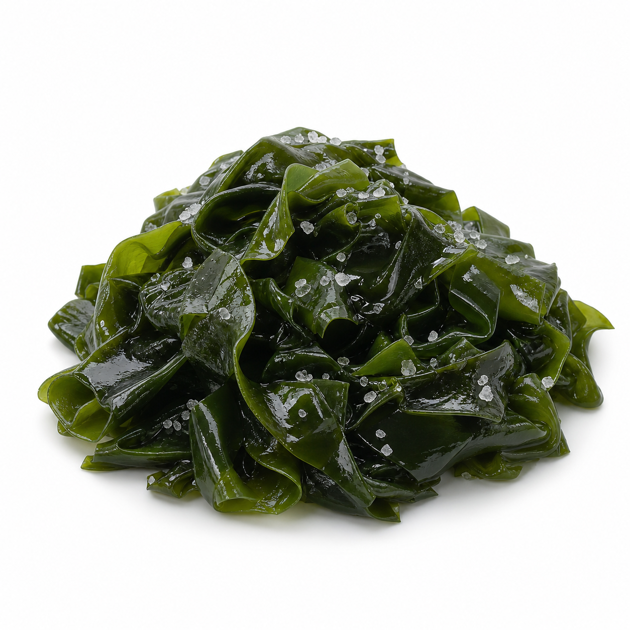 塩蔵わかめの生成イラスト