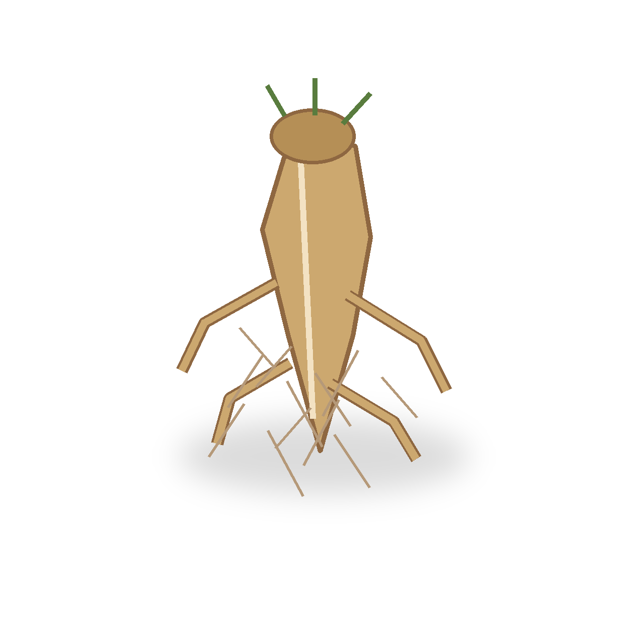 つるにんじんの生成イラスト